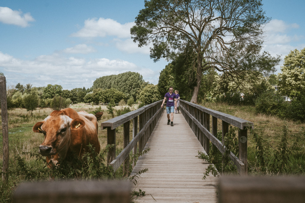 Five4Five - Wandelen brug 2025